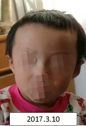 女生被草网站